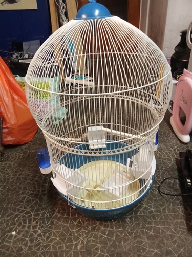 Vend cage oiseaux ronde - à,