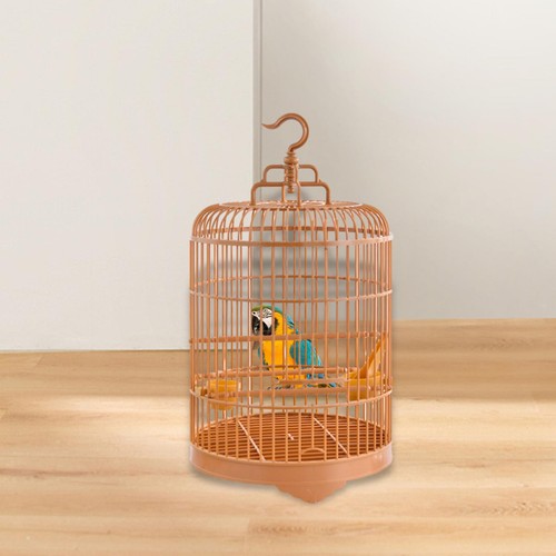Cage oiseaux ronde et - oiseaux,